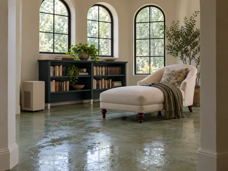 Water Extraction in Keller — damp reading alcove after bulk pickup